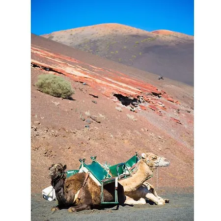 Julianne 4 Nyaraló Puerto del Carmen