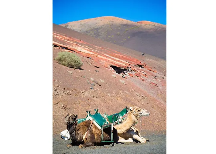 Julianne 4 بيت للعطل بويرتو ذيل كارمين